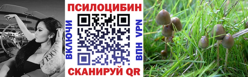 Купить  Игарка  Галлюциногенные грибы Magic Shrooms 